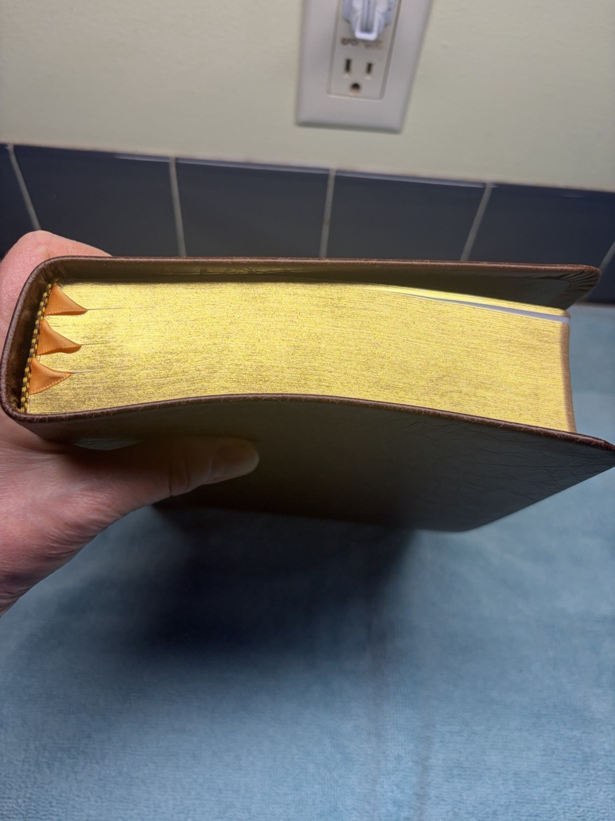CBP Large Print Readers Ref Bible Milk Chocolate Water Buffalo Leather KJV USA