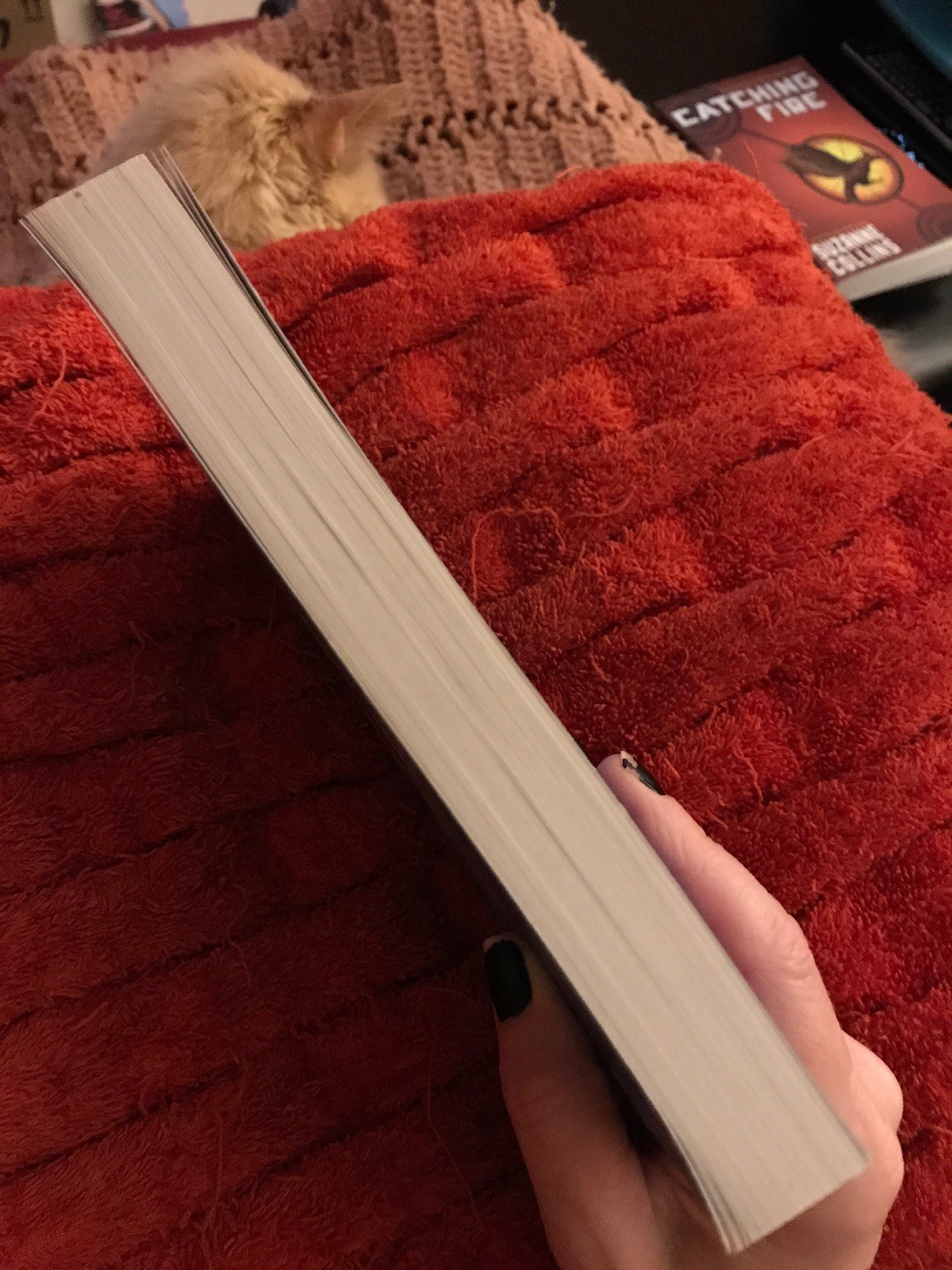 The Hunger Games: Mockingjay 3 by Suzanne Collins (2014, Paperback)