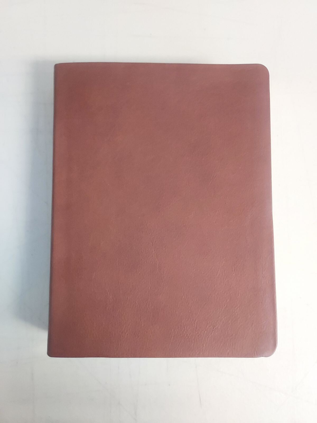 NLT Wide Margin Filament Study Bible Brown Geniune Leather (Holy Bible)