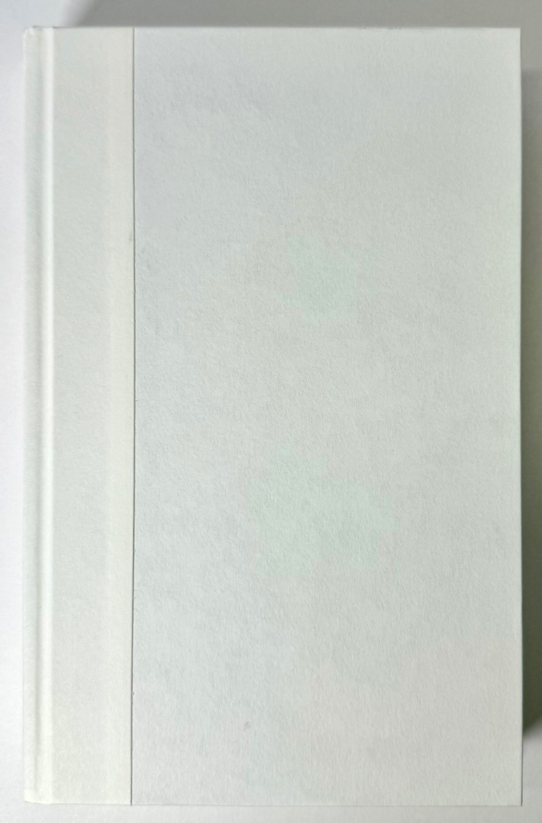 Endless Summer, Elin Hilderbrand 2022 1st edition 1st print in Mylar, Near fine