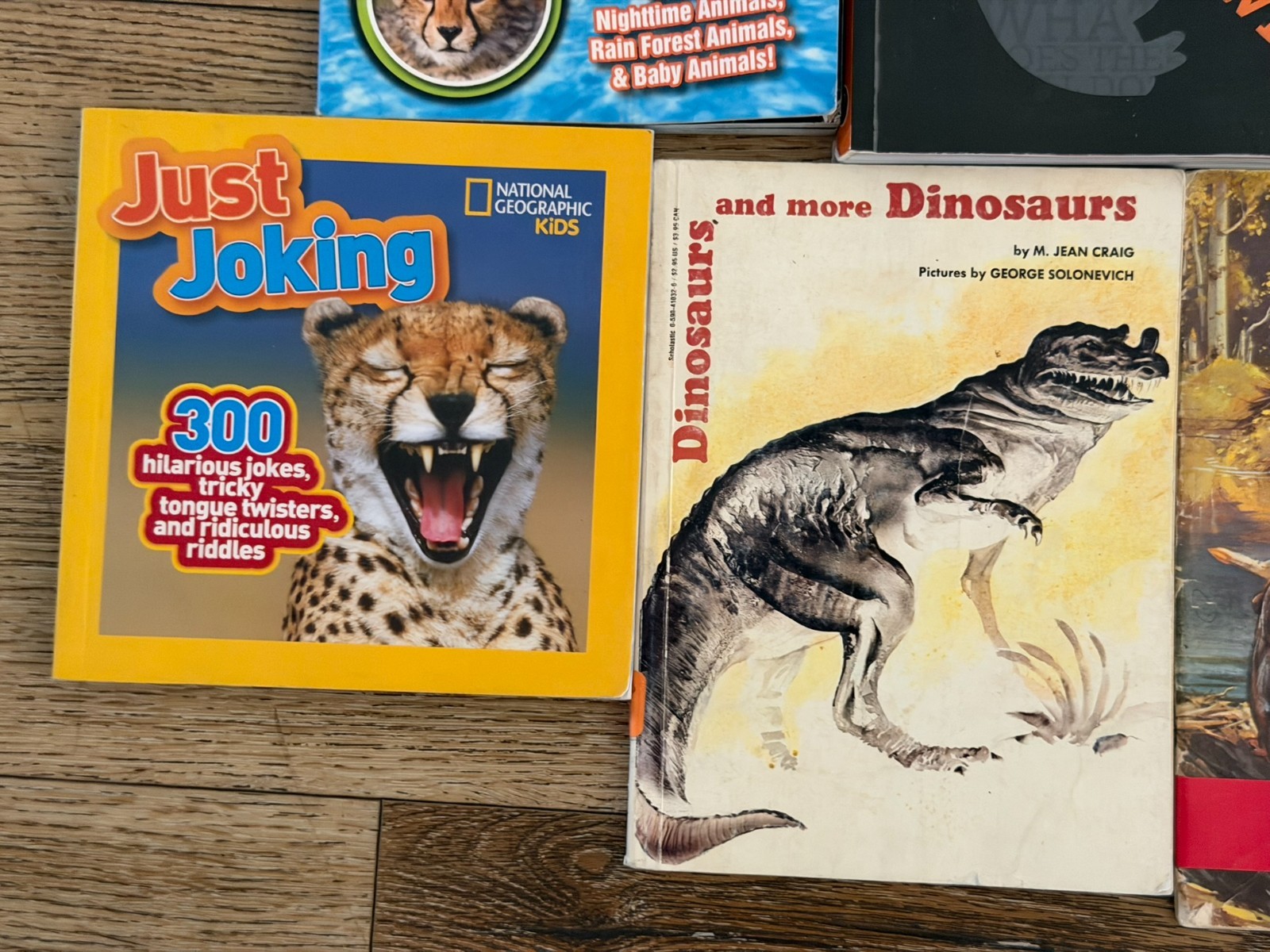 Lot of 15 Children’s Animal animals Picture Books Homeschool Sharks, Reptiles…