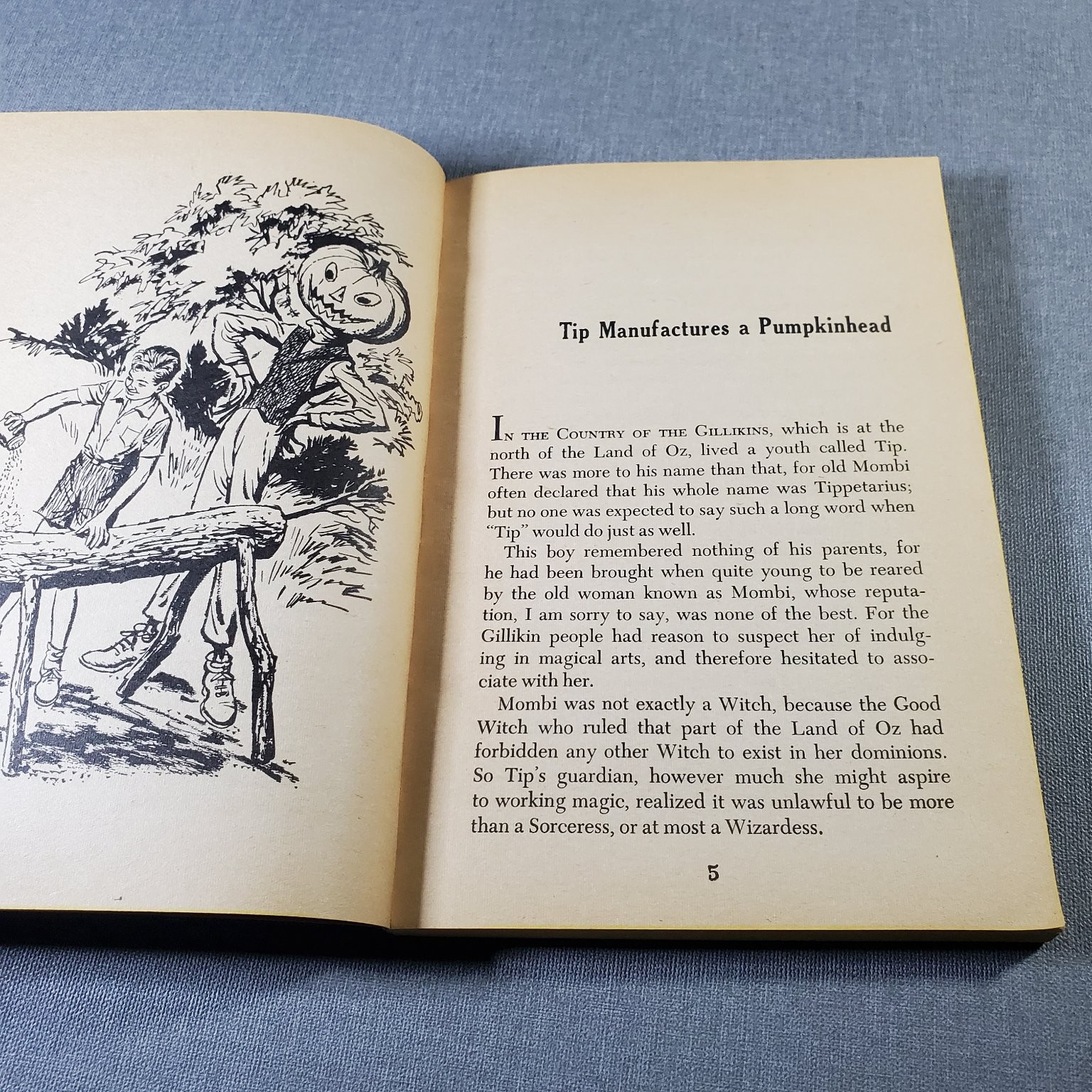 The Marvelous Land of OZ L. Frank Baum 1970 2nd Printing Illustrated Scholastic