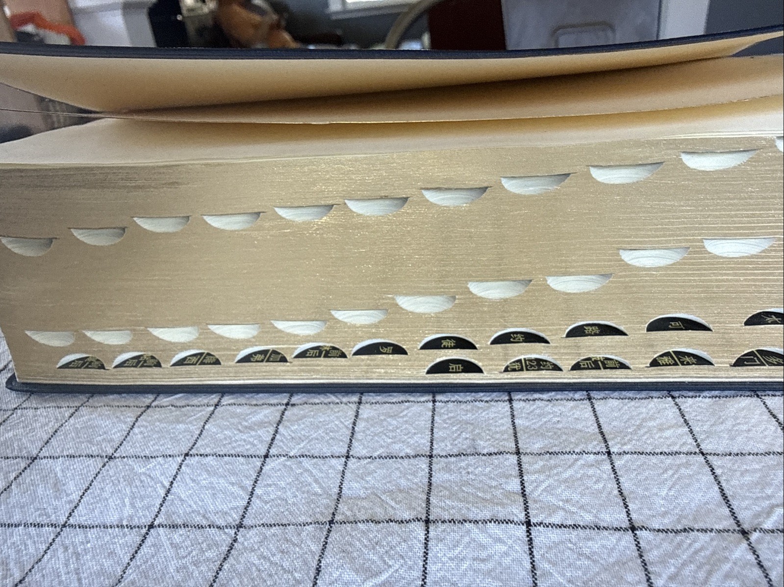 Holy Bible: NRSV New Revised Standard, Bilingual English Chinese 圣经 现代中文译本