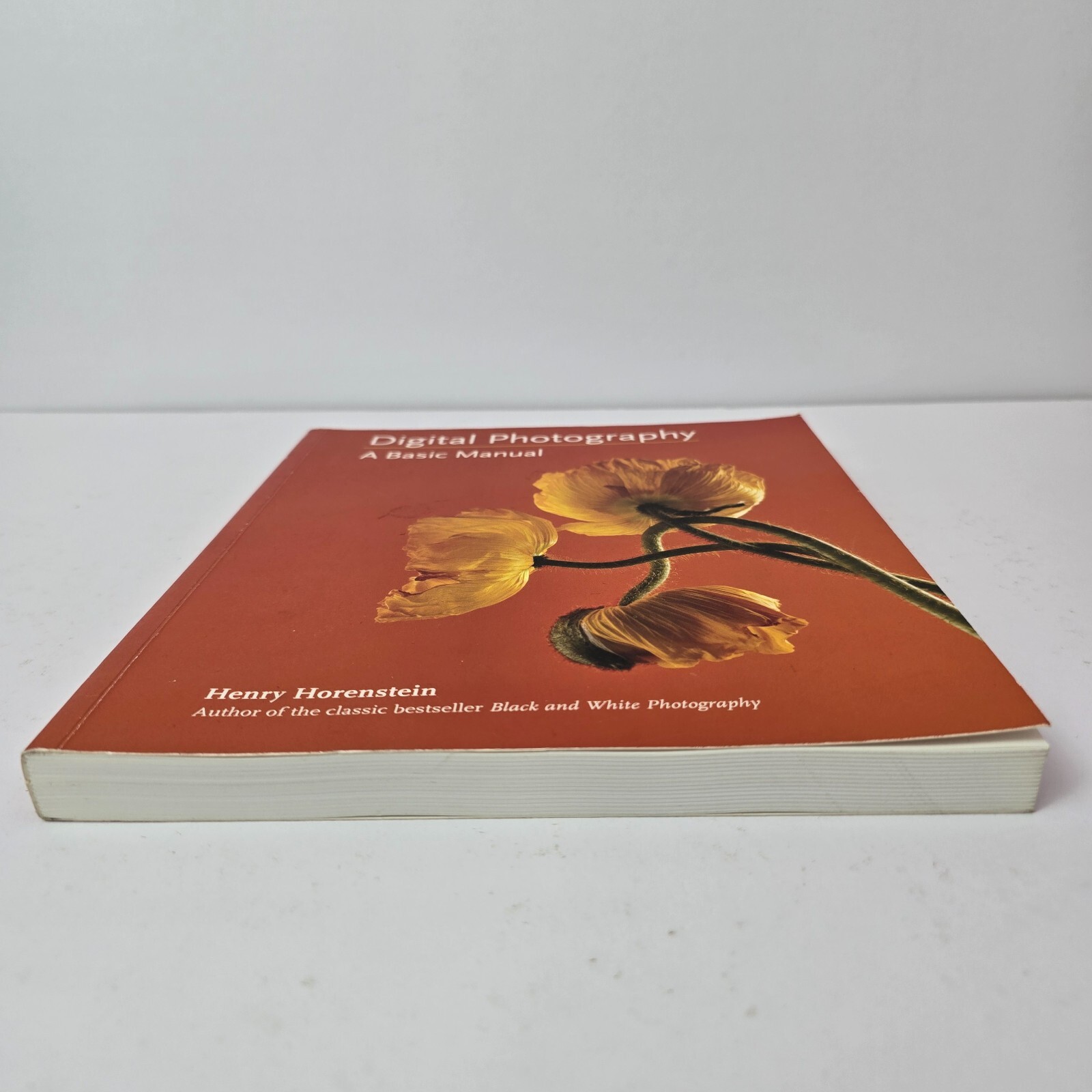 Digital Photography: A Basic Manual by Henry Horenstein