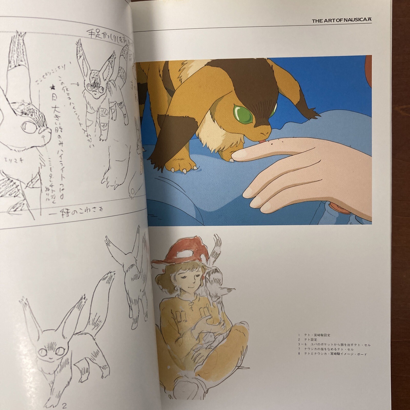 THE ART OF NAUSICAA Hayao Miyazaki Art Book Illustration