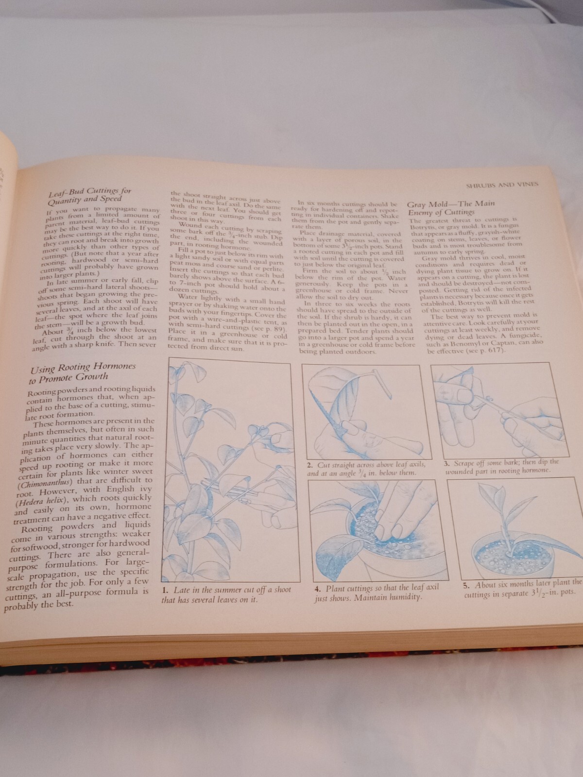 Vintage 1978 Reader’s Digest Illustrated Guide to Gardening Hardcover; 672 pages
