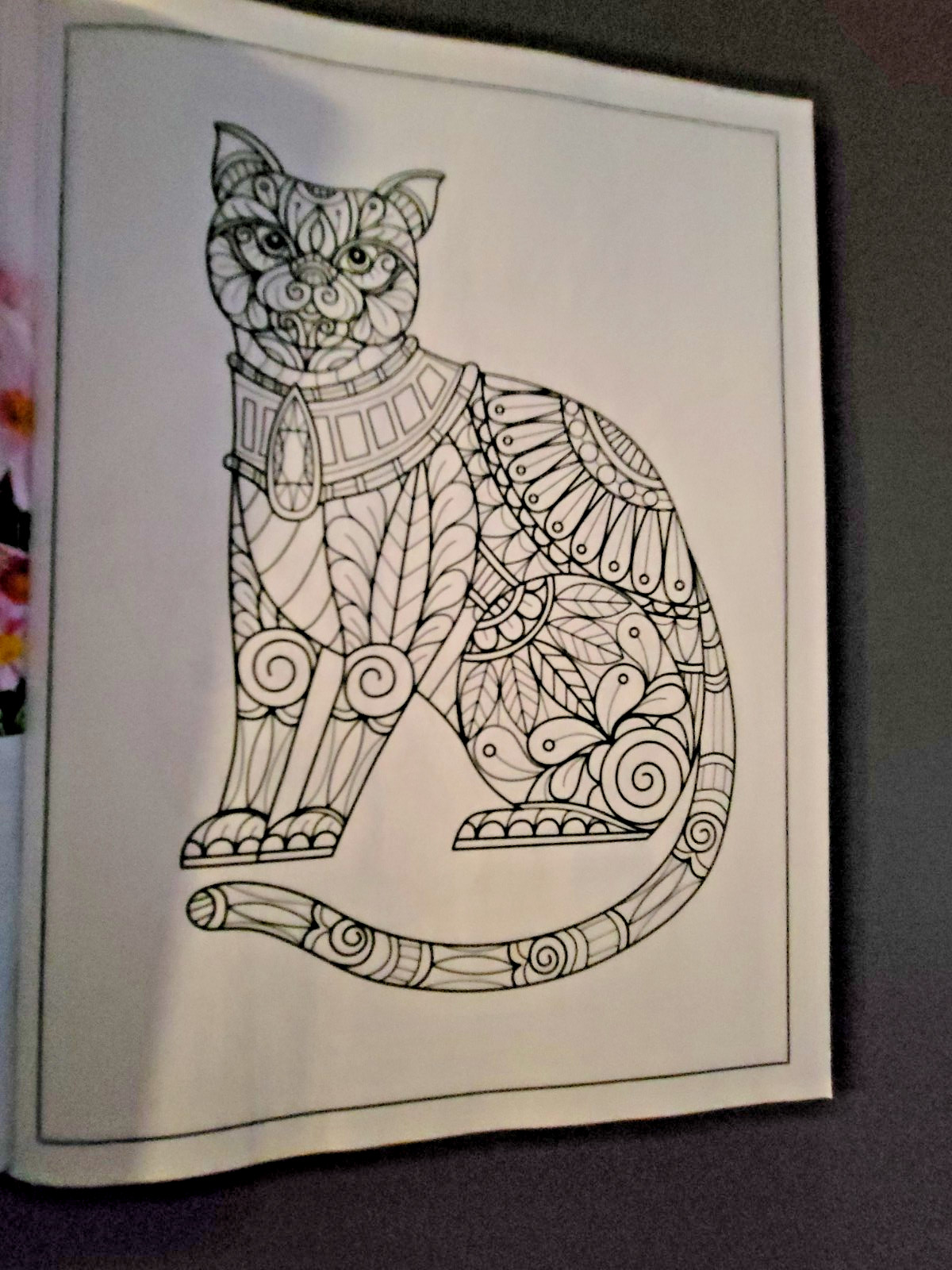 Cat Coloring -32 Spring-Inspired Designs-Relaxing & Inspirational Adult Coloring