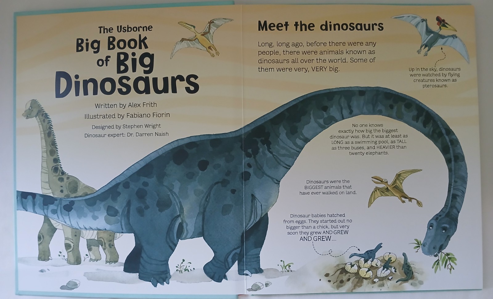 Usborne Big Book Of Dinosaurs & Bugs STEM Learning Fold-Out Pages Home School