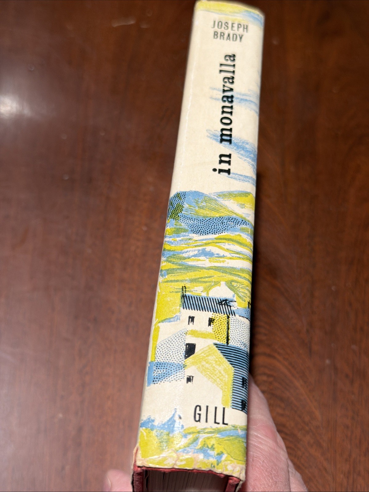 In Monavalla by Joseph Brady HC DJ 1963 Ireland B-2526