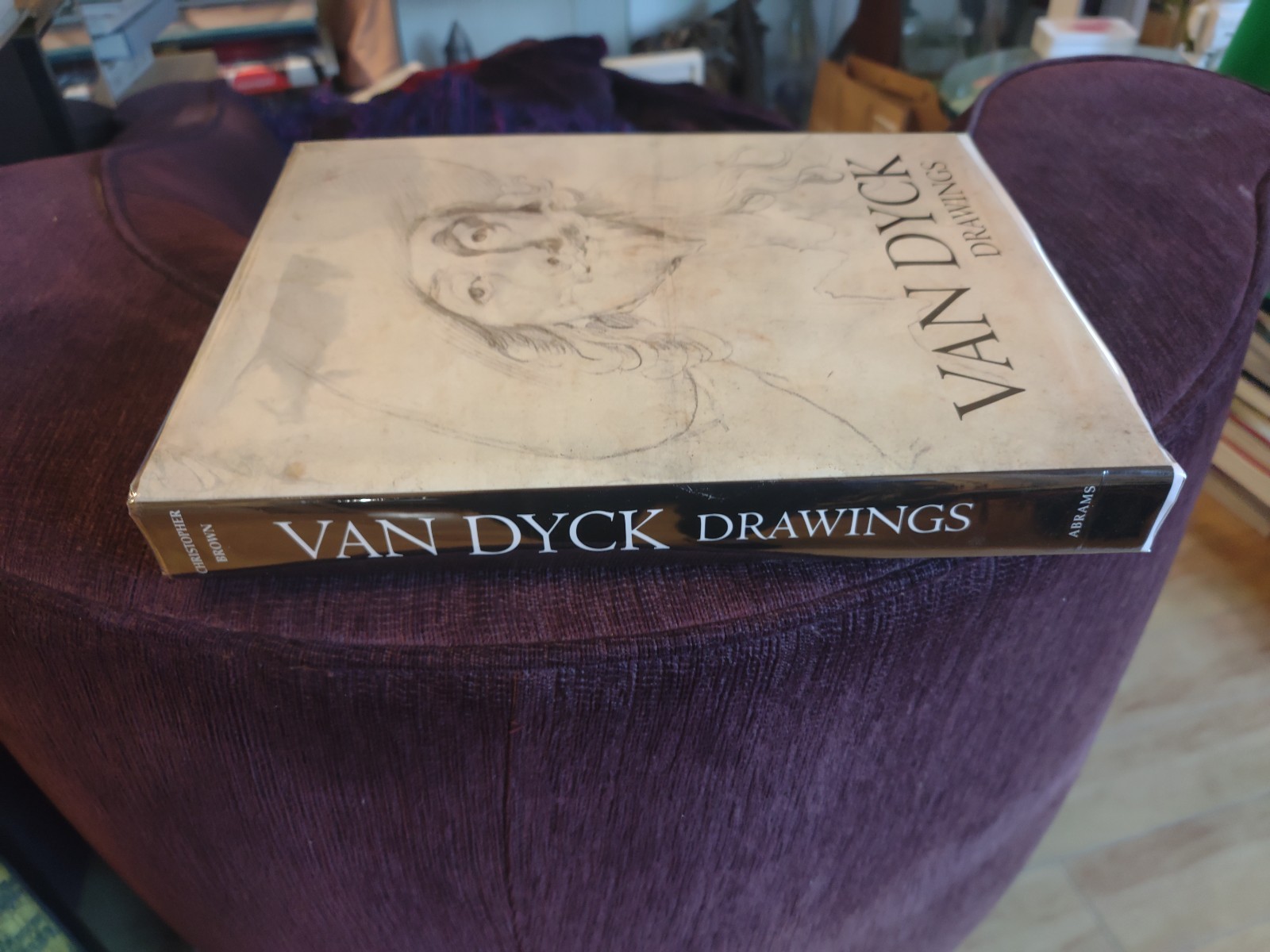 Van Dyck Drawings Hardcover – Import, January 1, 1991