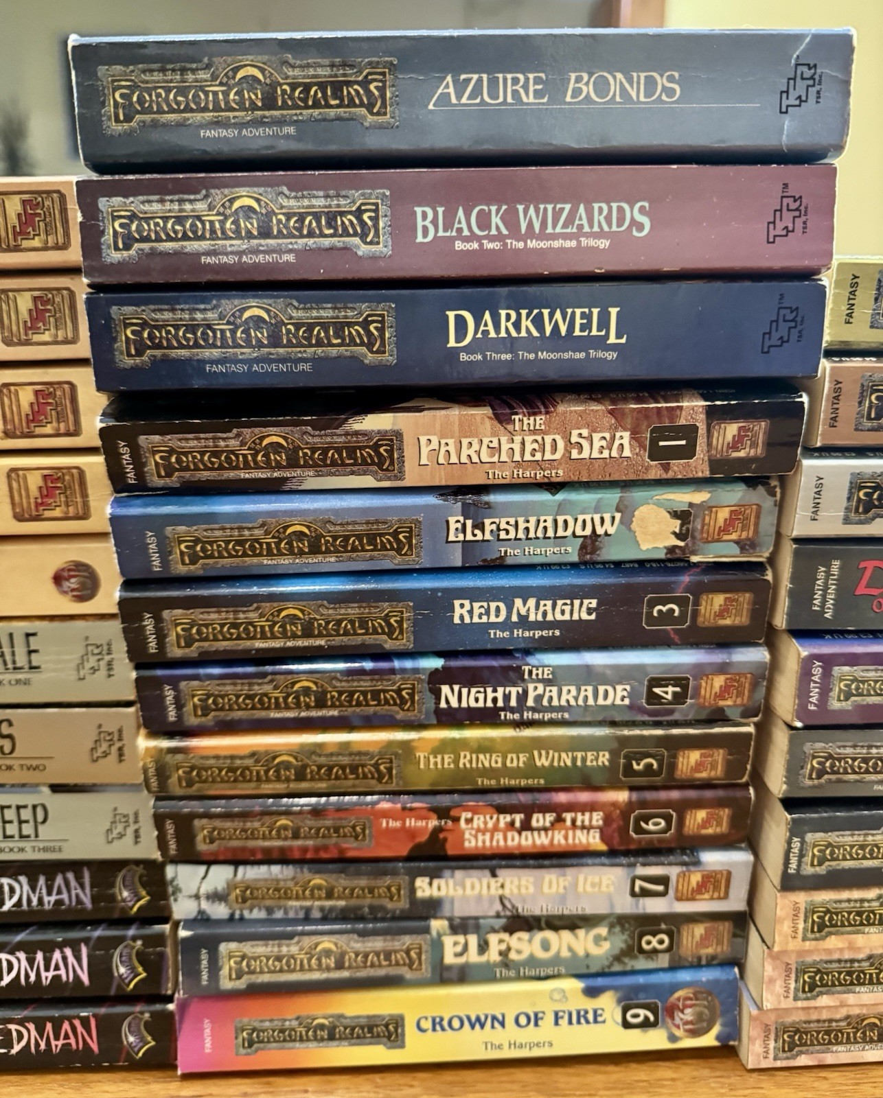 FORGOTTEN REALMS 53x PAPERBACK Book LOT Fantasy TSR Trilogies Etc