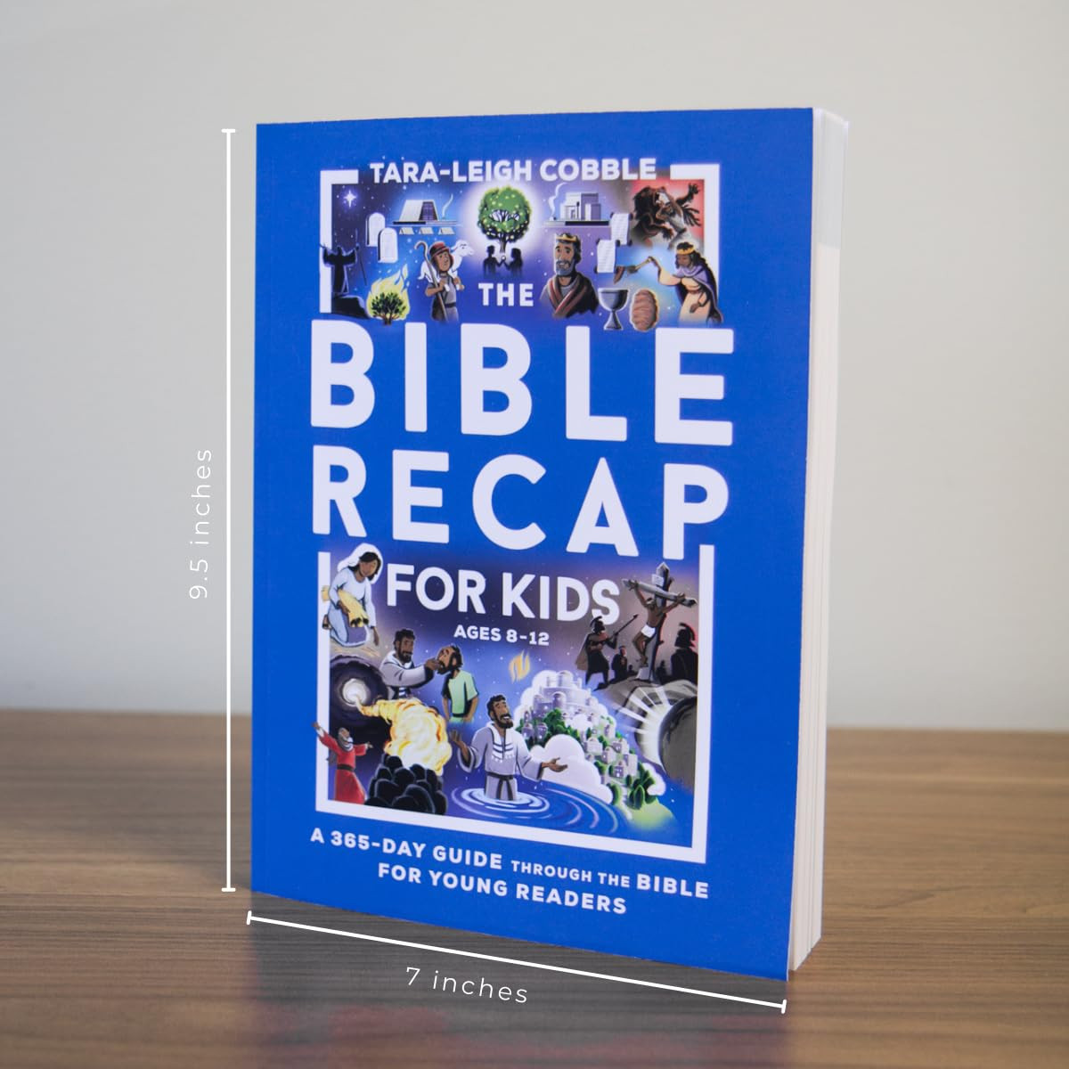 The Bible Recap for Kids: A 365-Day Guide through the Bible for Young Readers (R
