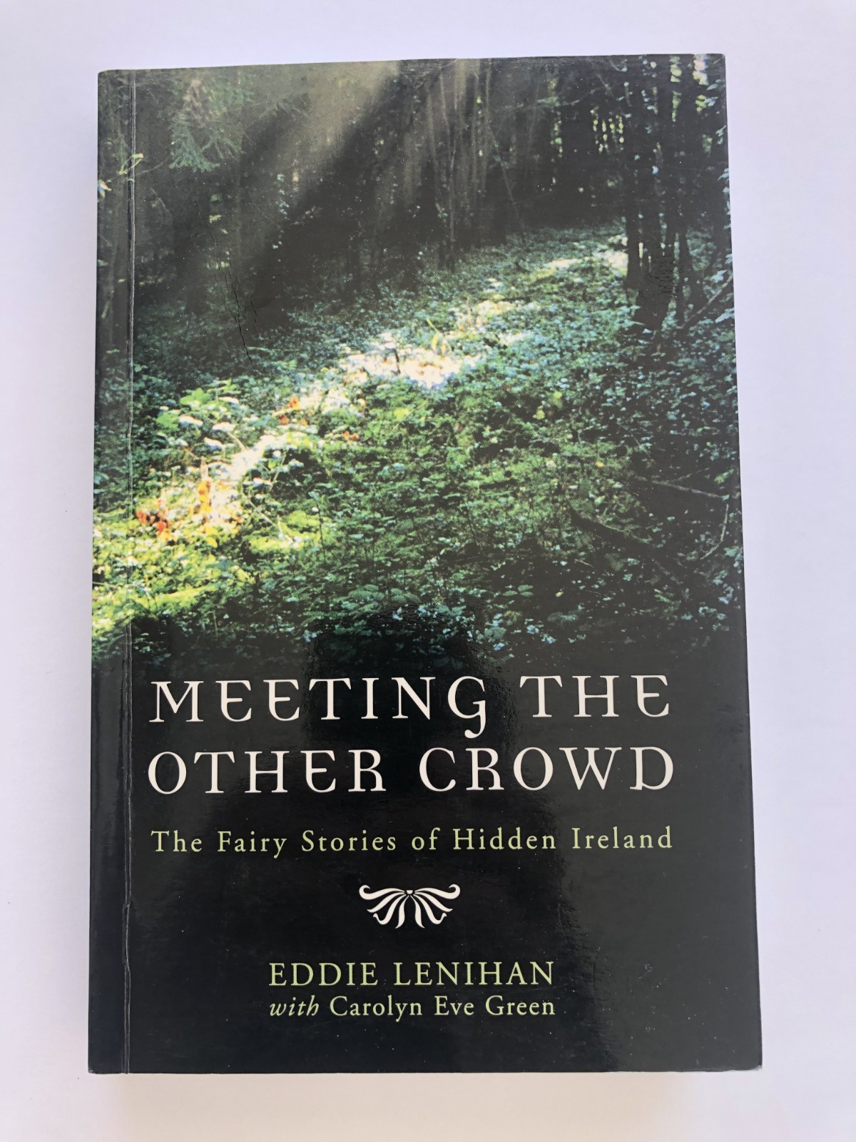 ‘MEETING THE OTHER CROWD : The Fairy Stories of Hidden Ireland’ Signed-332 Pages