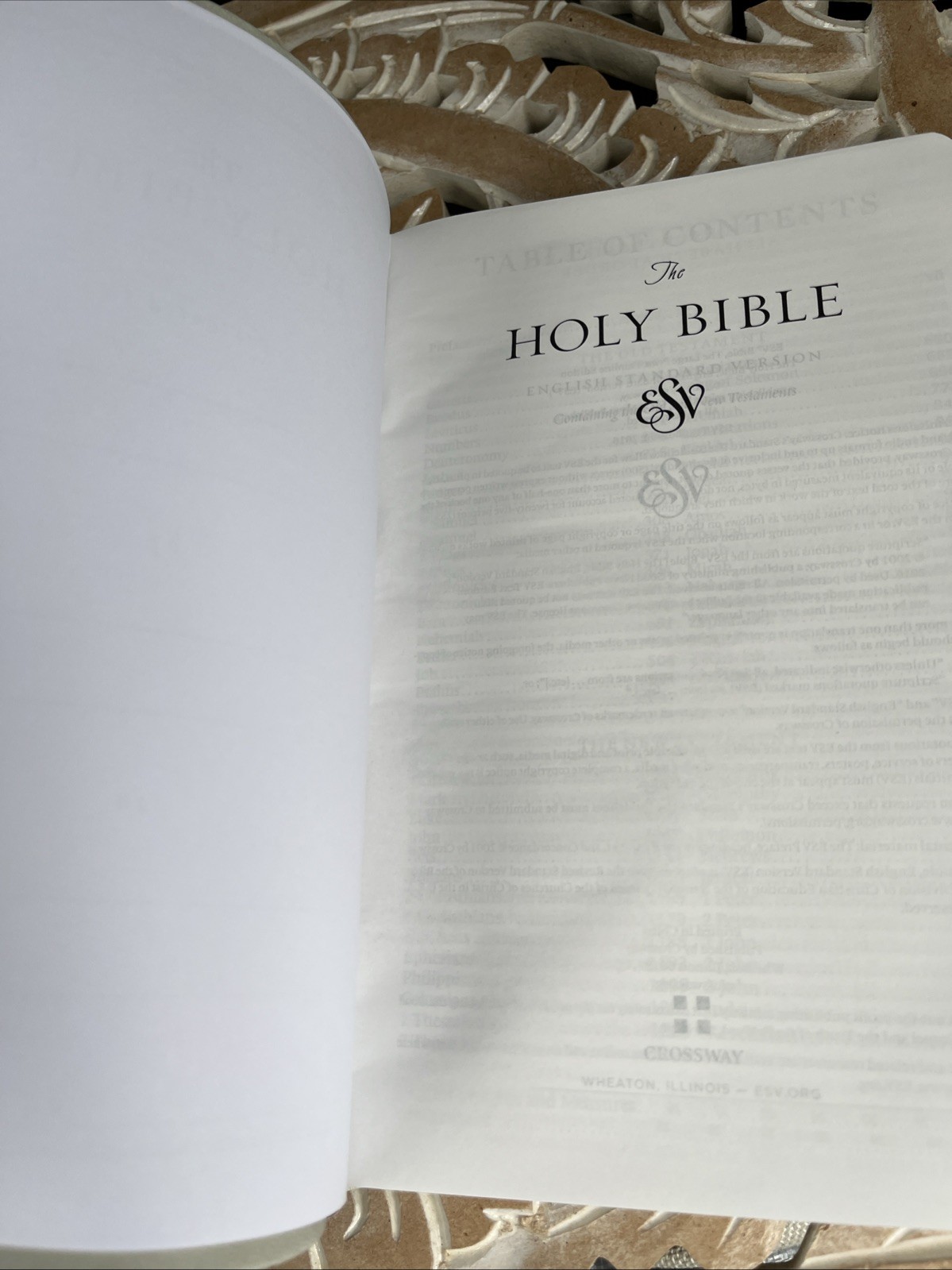 ESV Large Print Value Thinline Bible (Trutone, River Stone, Branch Design): New