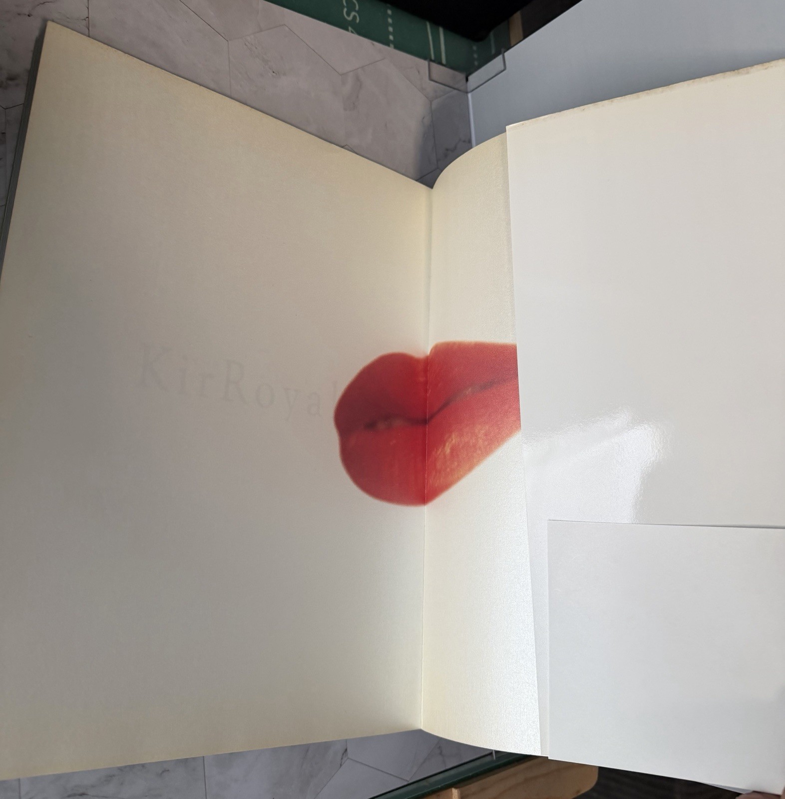 Kir Royal • Yoko Shimada • Japanese Photobook W/ Obi • First Edition • USA Ship