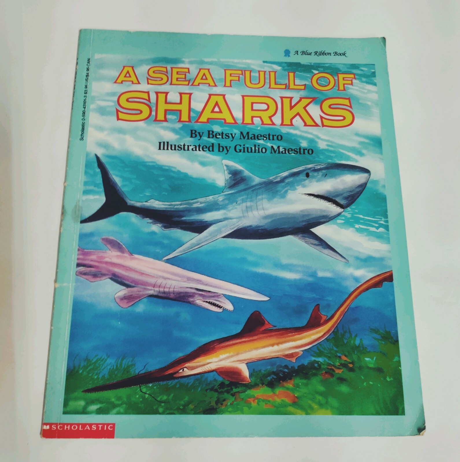Vntg Children’s Books Dinosaur Rhymns Sea Full Of Sharks Colorful Pictures 2 Bks