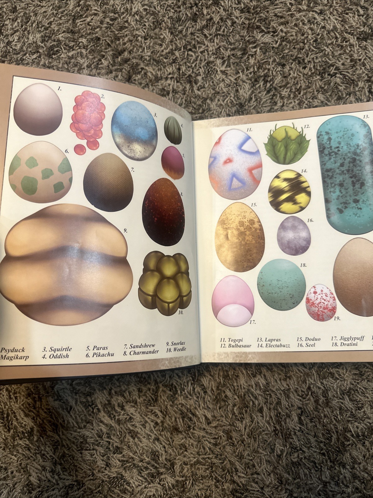 Pokenatomy Book Unofficial Pokemon Anatomy Guide Guidebook Hardcover Read