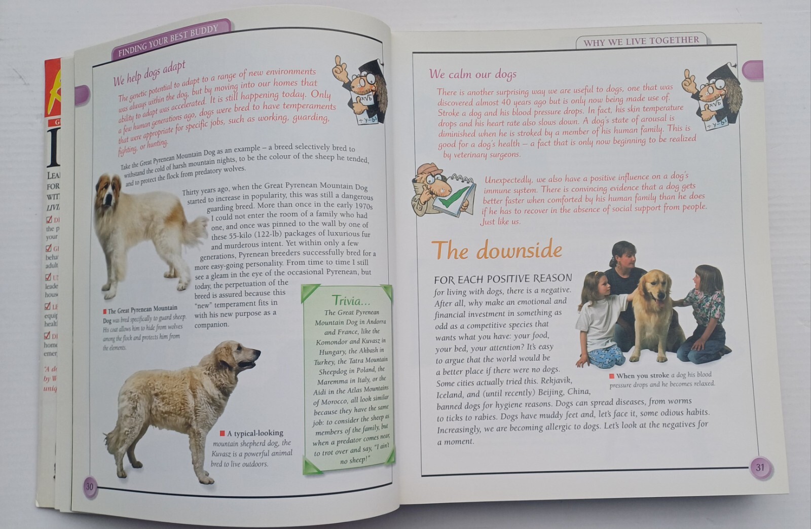Used Book KISS Guide To Living With A Dog 2001 Paperback 415 Pages Very Good DK
