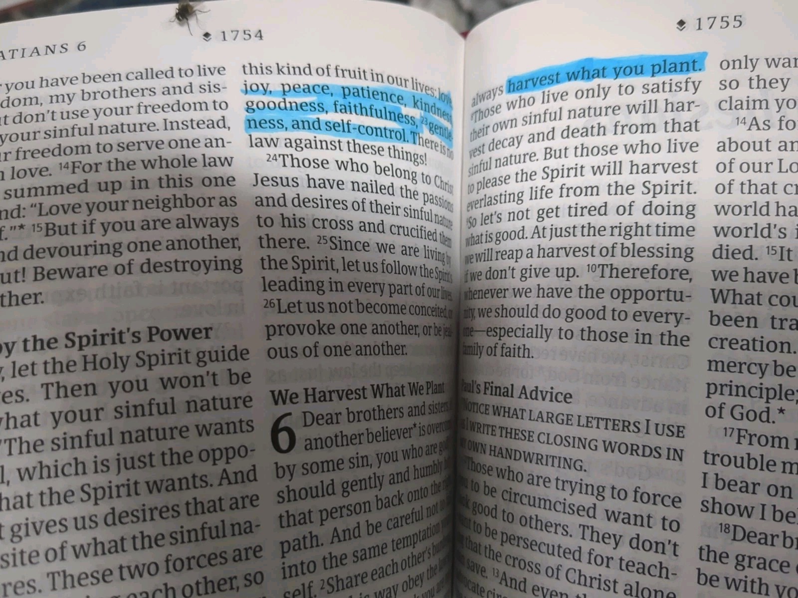 NLT Personal Size Giant Print Filament Bible Tyndale – Imitation Leather