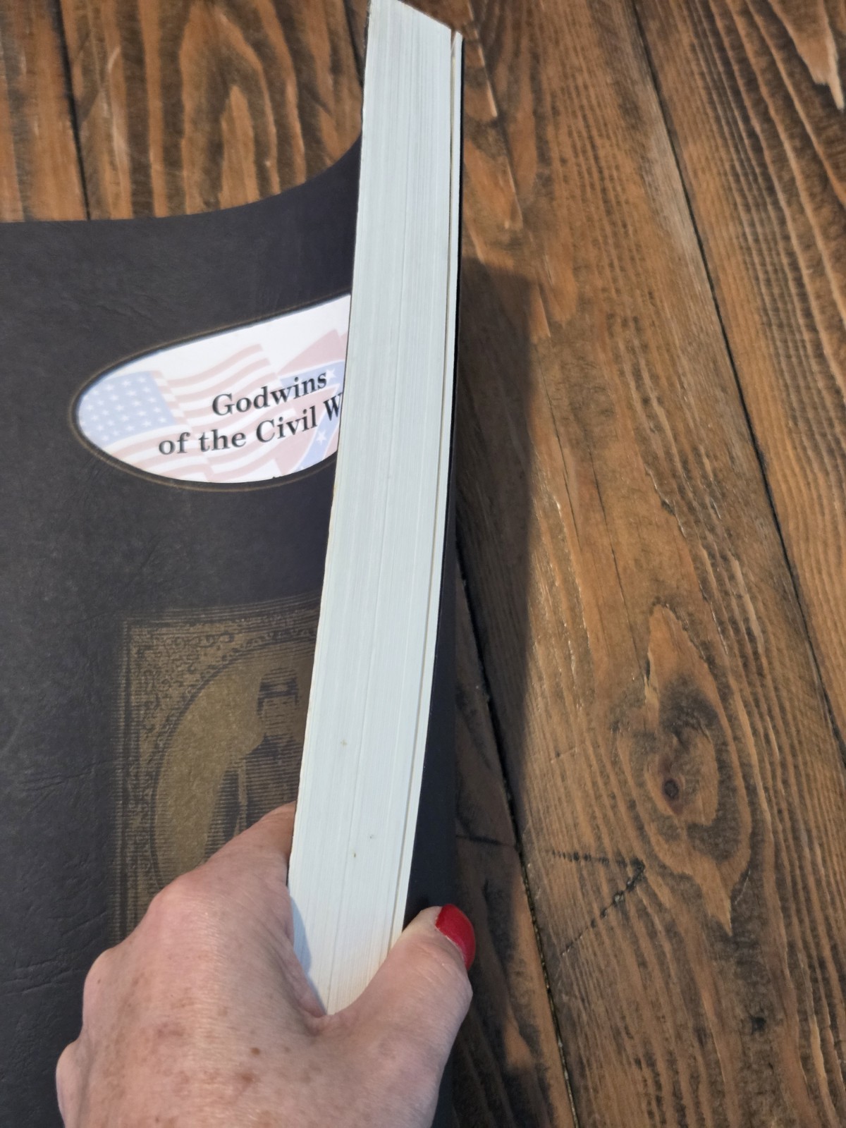 Godwins OF THE CIVIL WAR, Halbert’s Family Heritage