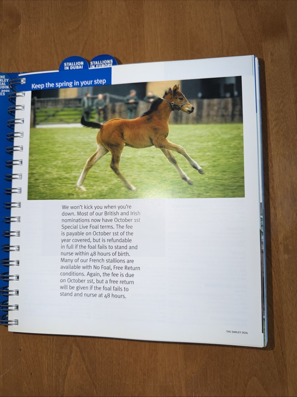 Darley Stallions 2001 Season Book RARE Racing Memorabilia