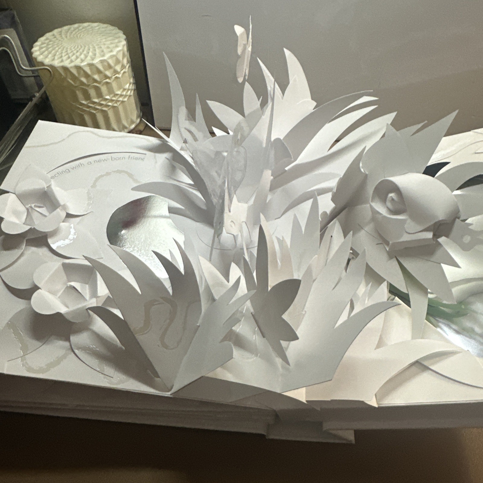 Trail : Paper Poetry by David Pelham (2007, Novelty Book)