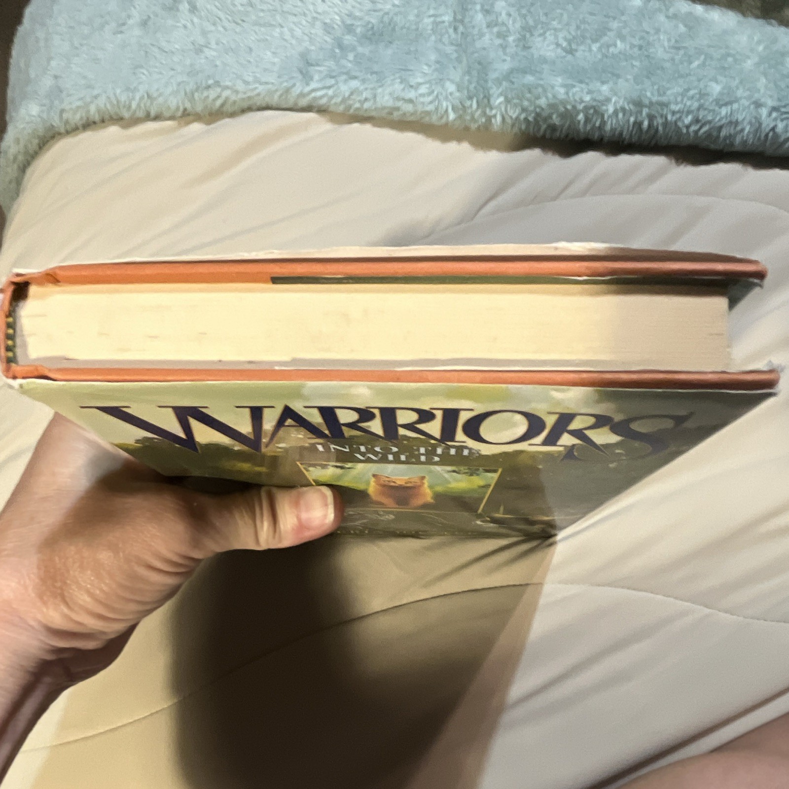 Warriors Into the Wild HC Erin Hunter First Edition HarperCollins 2003