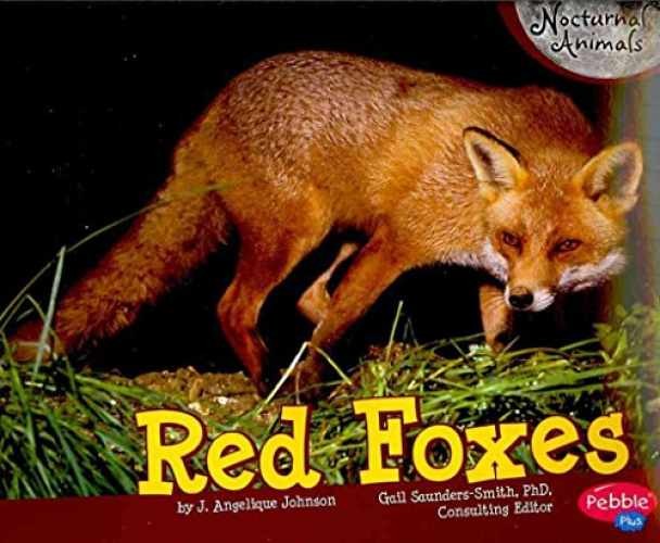 Red Foxes (Pebble Plus: – Paperback, by Johnson J. Angelique – Very Good