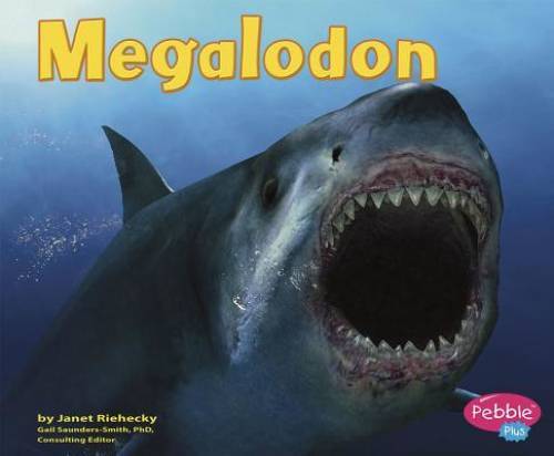 Megalodon (Dinosaurs and Prehistoric Animals) – Paperback – ACCEPTABLE