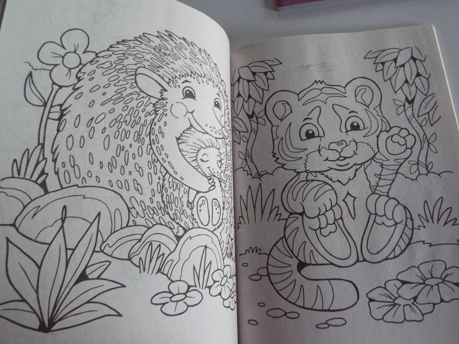 Disney Animal Friends Jumbo Coloring &Activity Book & Dreamtivity Stay Wild NEW