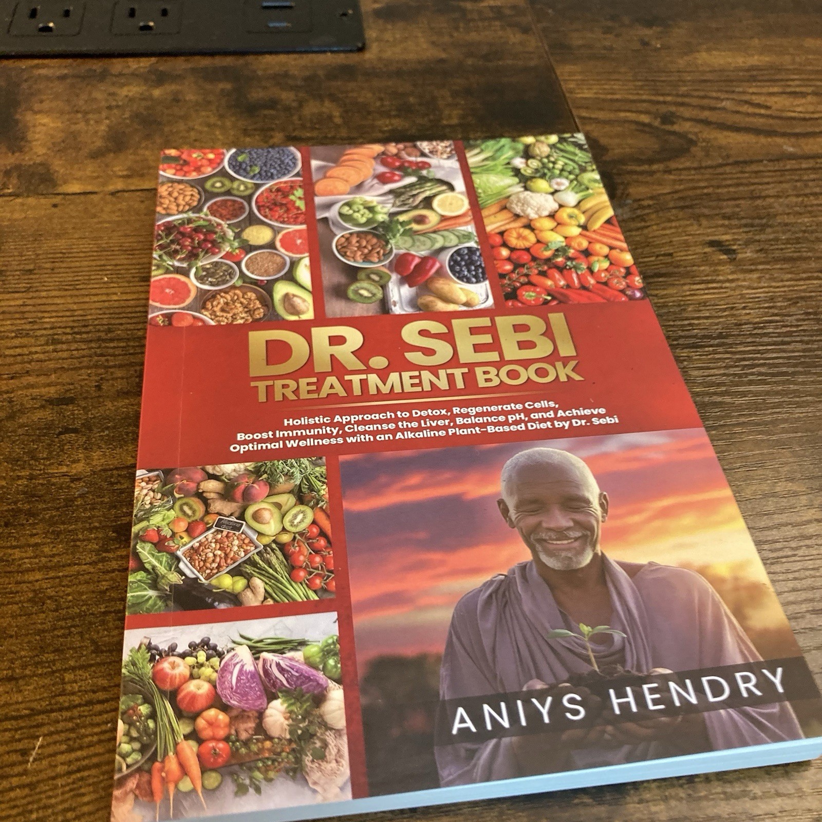 Dr. Sebi Treatment Book: Treatment & Cures With Alkaline Diet Method Paperback