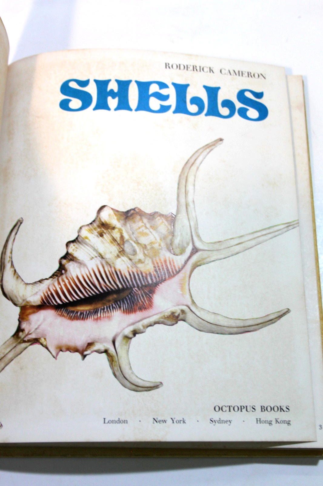 Vintage Shells Roderick Cameron 1972 Octopus HC Illustrated Sea Shell Ref Book