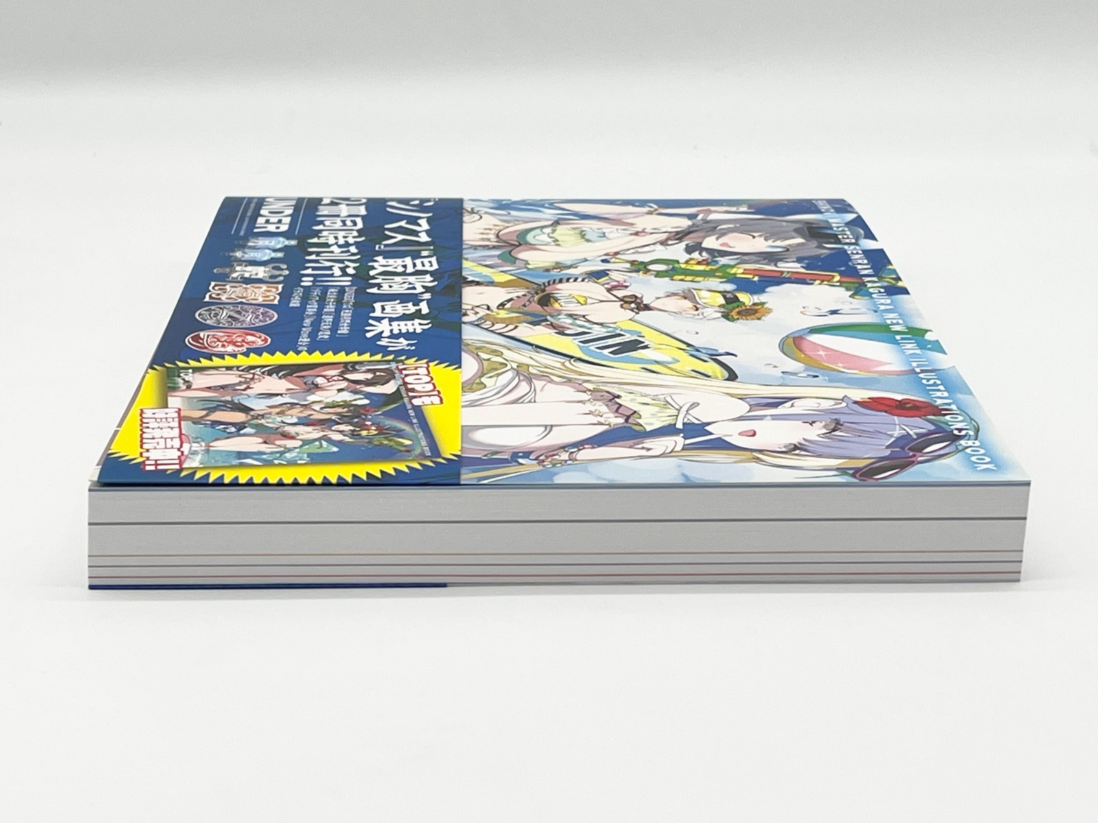 Shinobi Master Senran Kagura New Link Illustrations Book Vol 1-2 Japanese Text