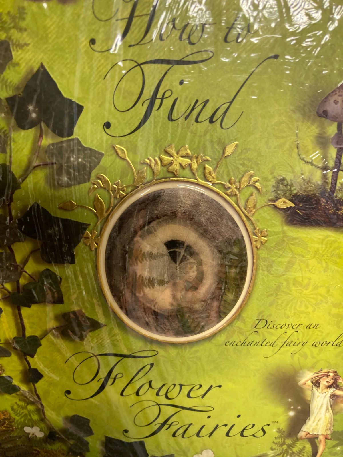 How to Find Flower Fairies, Barker, Cicely Mary, Pop Up Book SEALED!