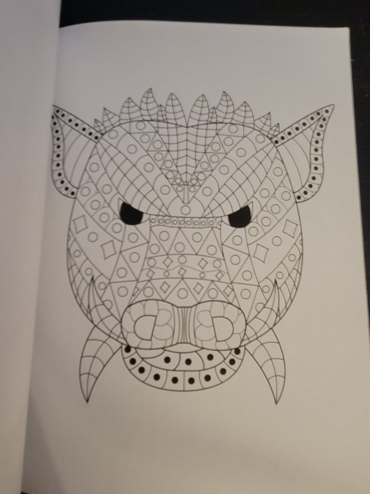 MAJESTIC CREATURES Vol. 18 Adult Coloring Book With 47 Prints Ready To Frame!