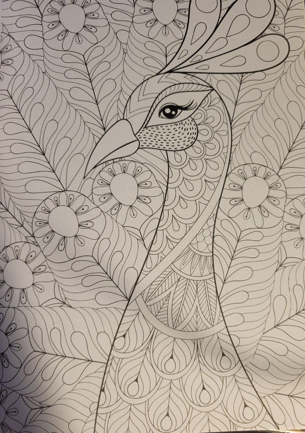 MAGNIFICENT CREATURES Vol 18 – Adult Coloring Book by TOPIX MEDIA – 47 PRINTS