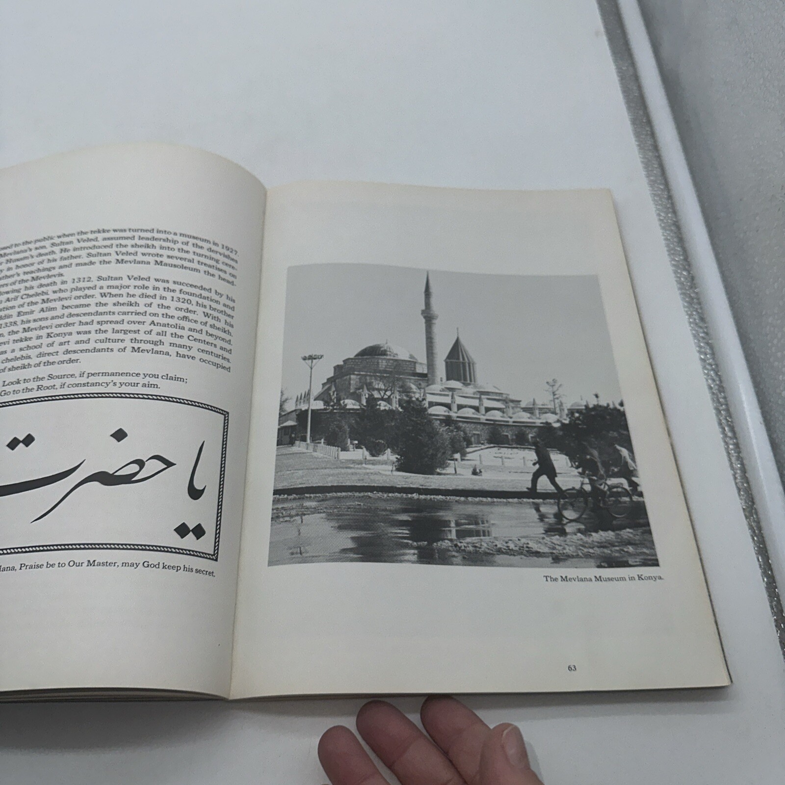 THE WHIRLING DERVISHES FIRST EDTION 1975 IRA FRIEDLANDER SOFT COVER GOOD