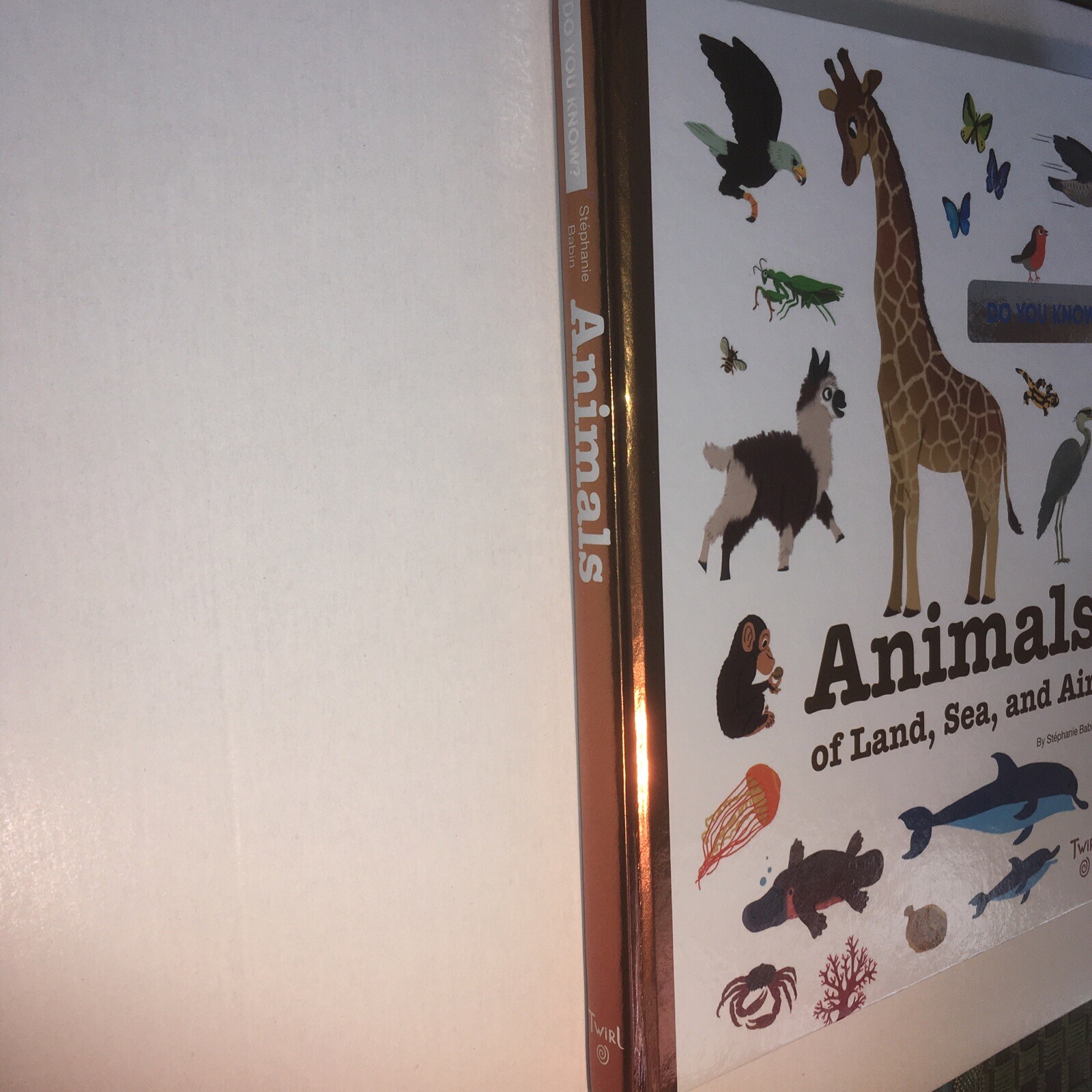 TW Do You Know Ser.: Do You Know?: Animals of Land, Sea, and Air by Stephanie…
