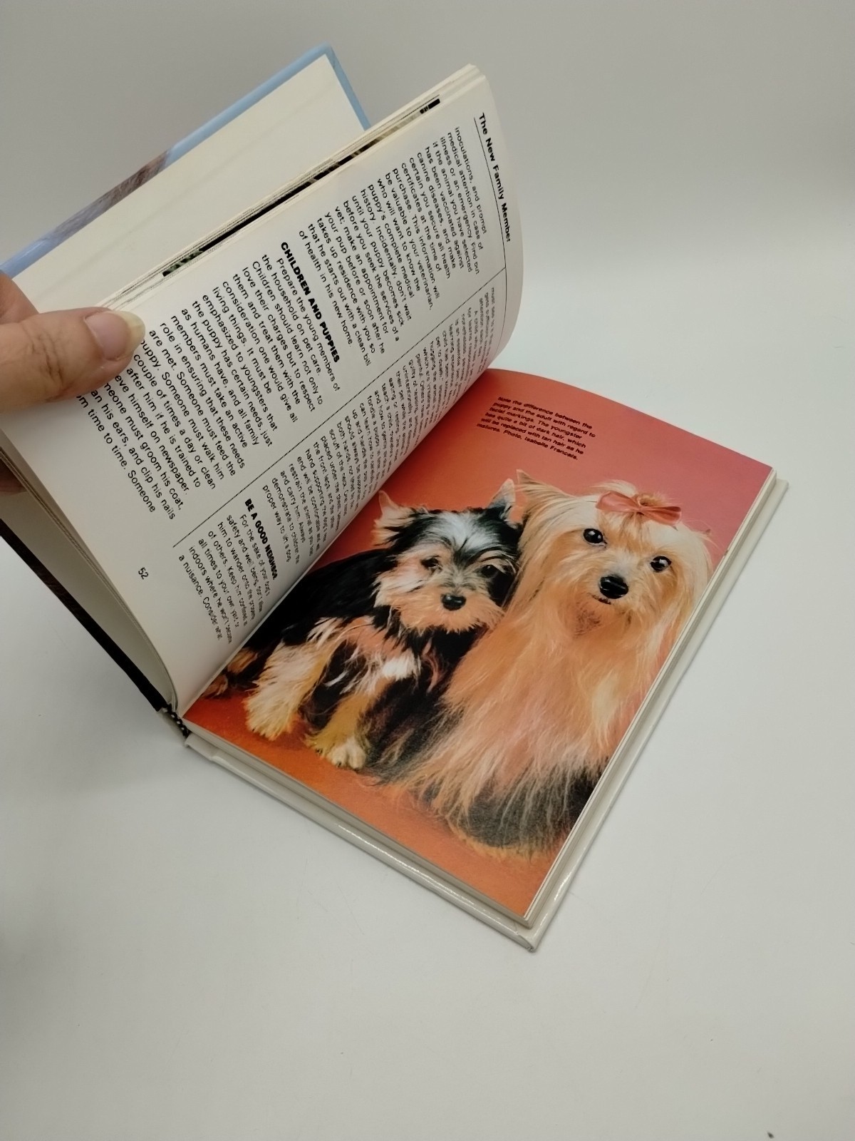 Yorkshire Terriers By Kerry Donnelly Vintage 1990 Over 175 Full Color Illustrati