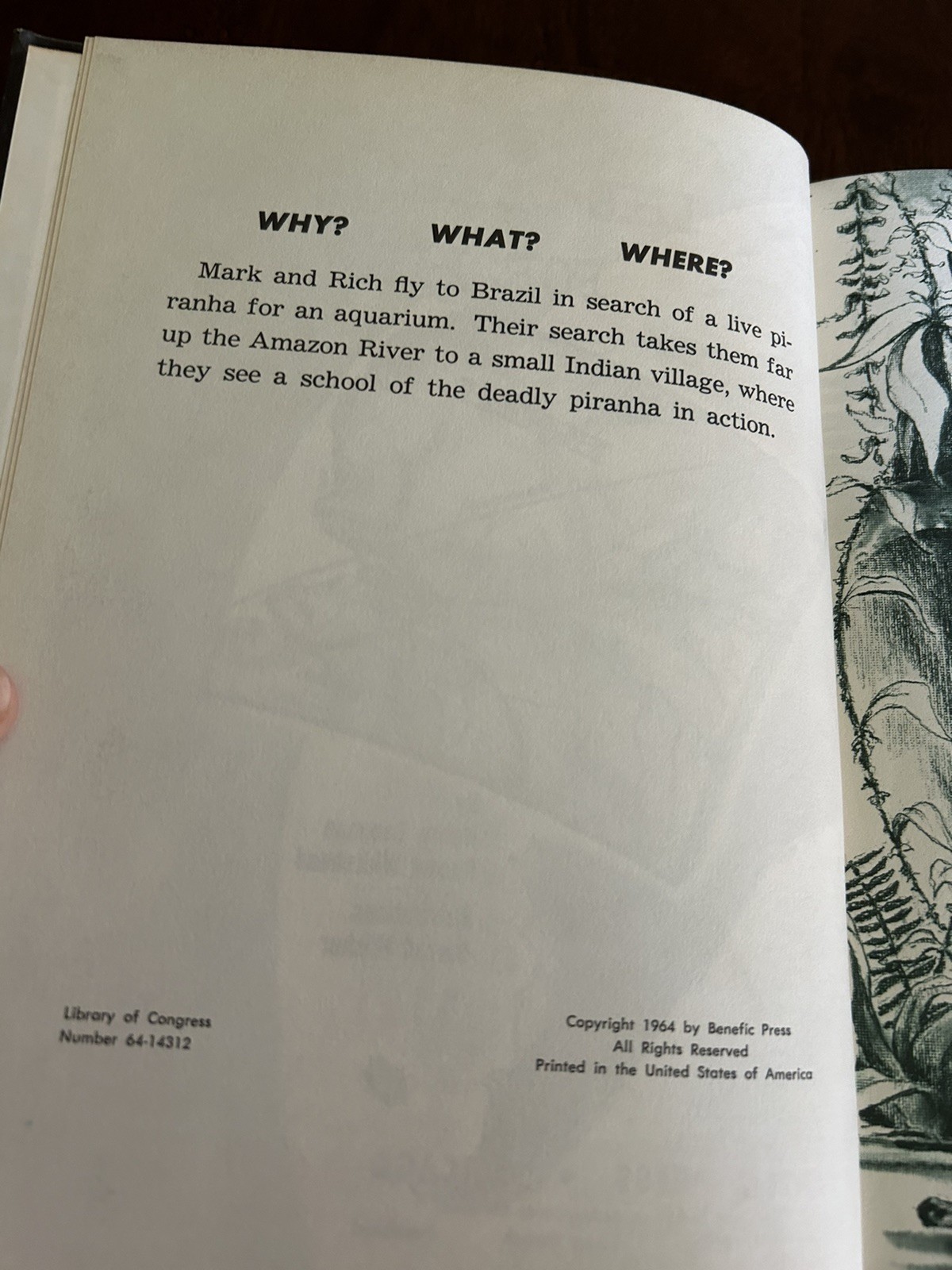 Lot of 6 World Adventure Mystery Whitehead Benefic Press HB Hardcover Vintage
