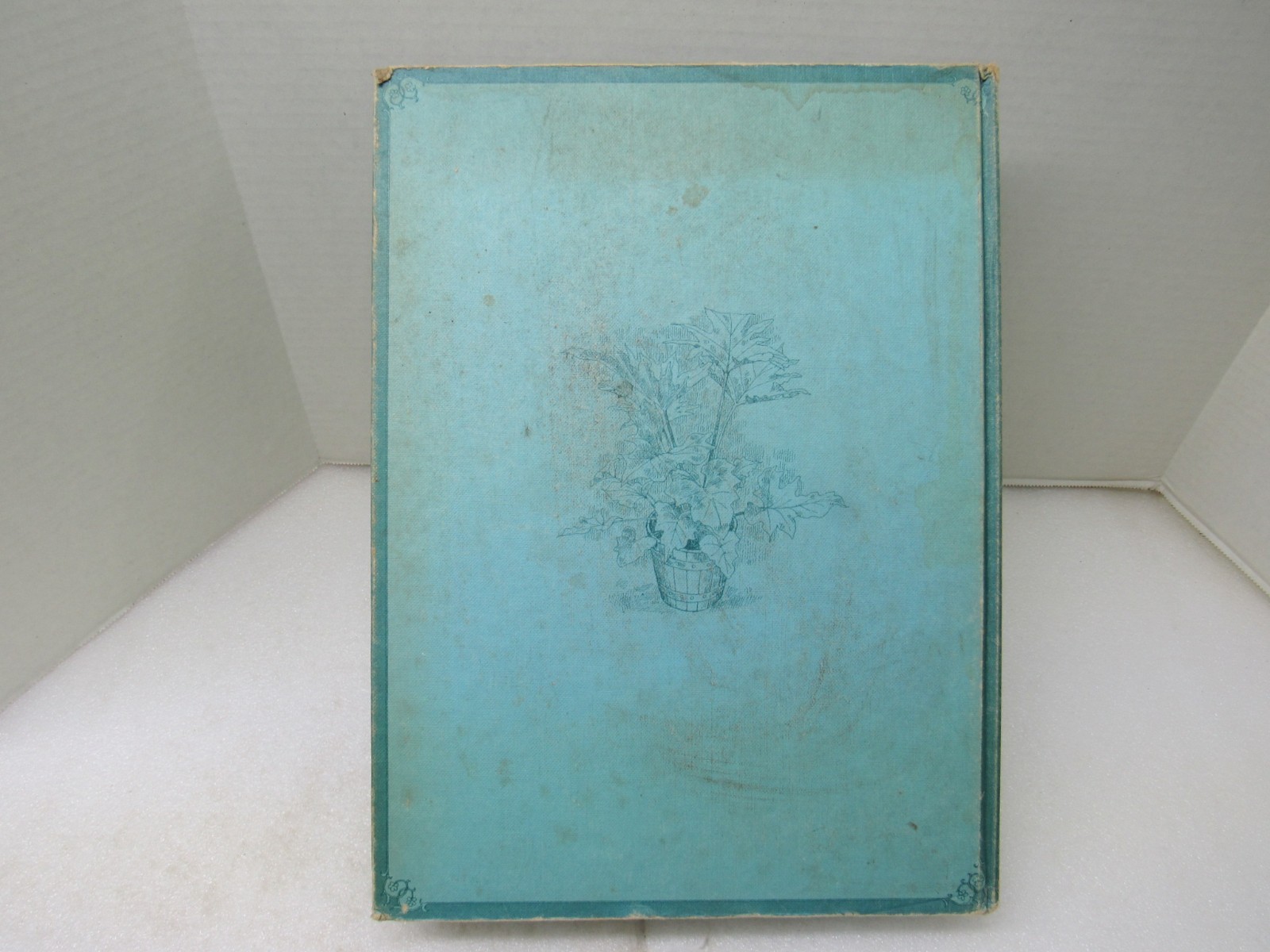 Plants & Flowers In The Home Violet Stevenson Longmeadow Press 1975 Hardcover