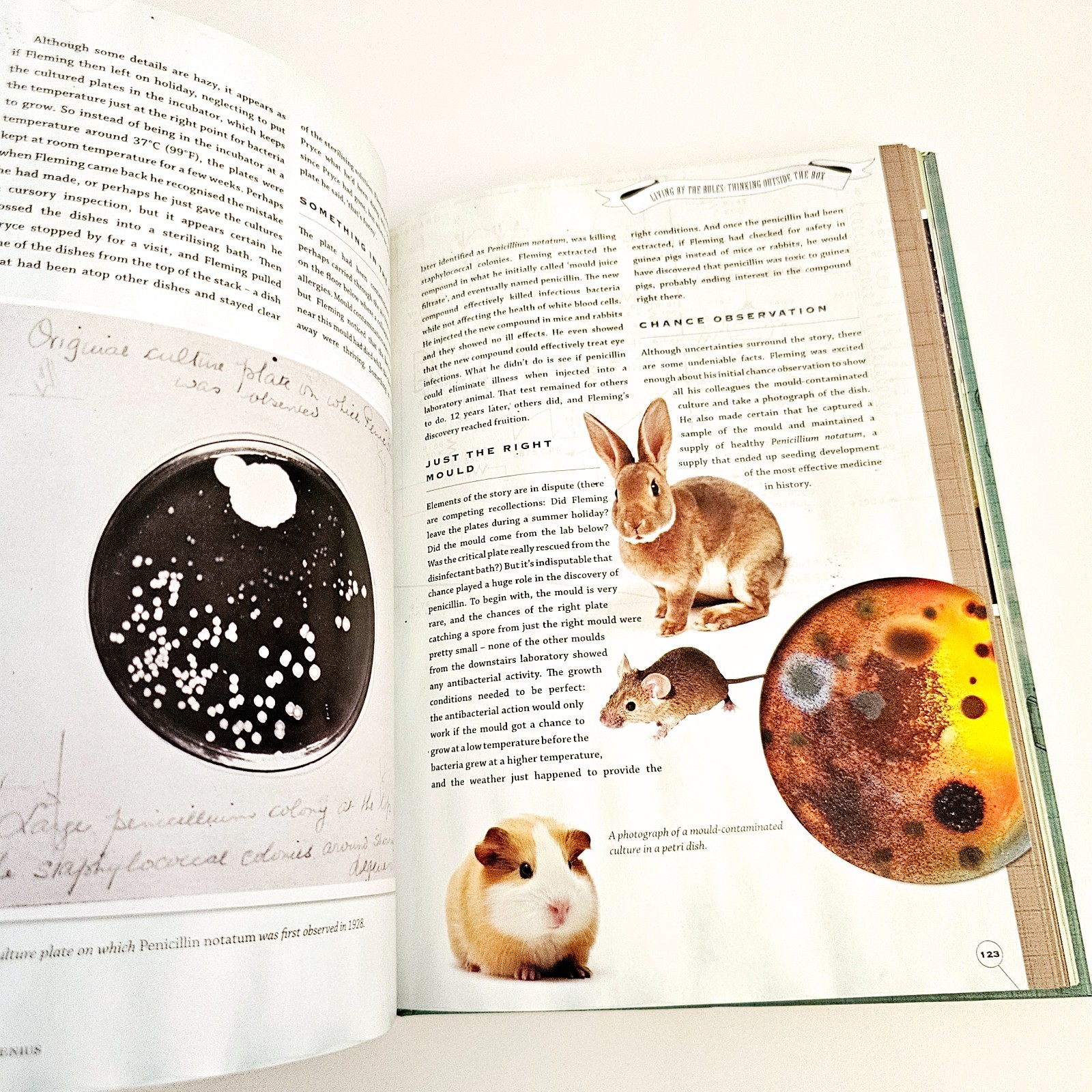 Accidental Genius Richard Gaughan Hardcover by chance discoveries Free Postage