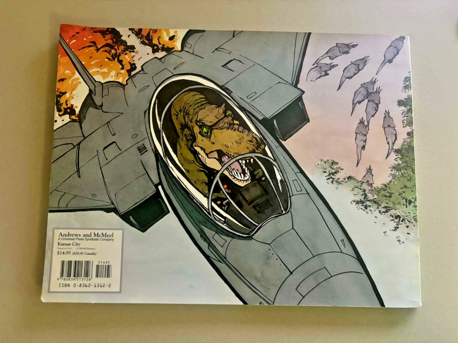 Calvin and Hobbes There’s Treasure Everywhere TP 1st print Bill Watterson