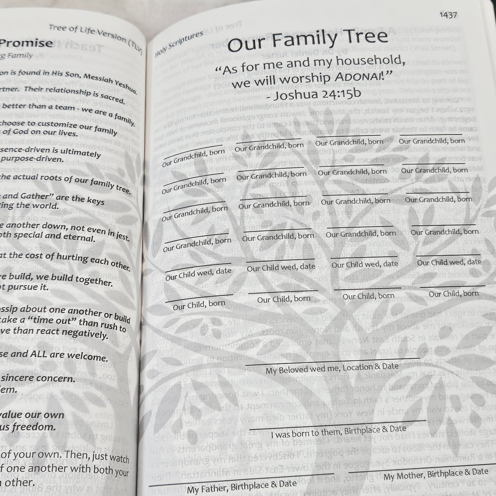 Messianic Jewish Family Bible Tree of Life Version TLV Gold Gilt Dark Green Tabs