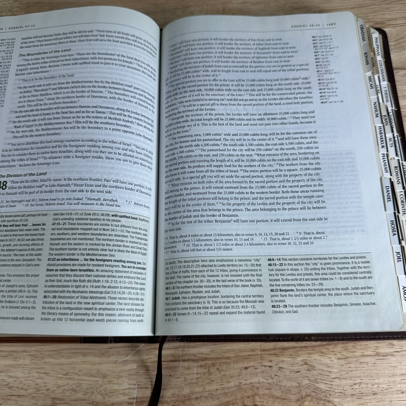 NIV Zondervan Study Bible D. A. Carson 2011 LeatherTouch Thumb Indexed Zondervan
