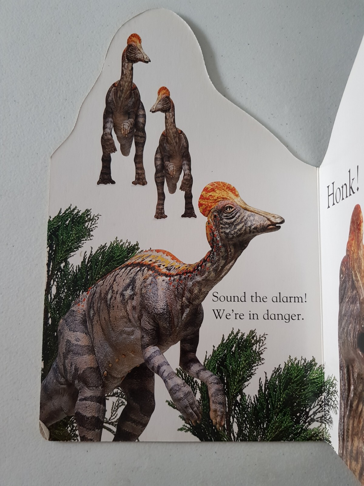 DK Board Book – Corythosaurus 2000 Nicola Deschamps Dinosaur