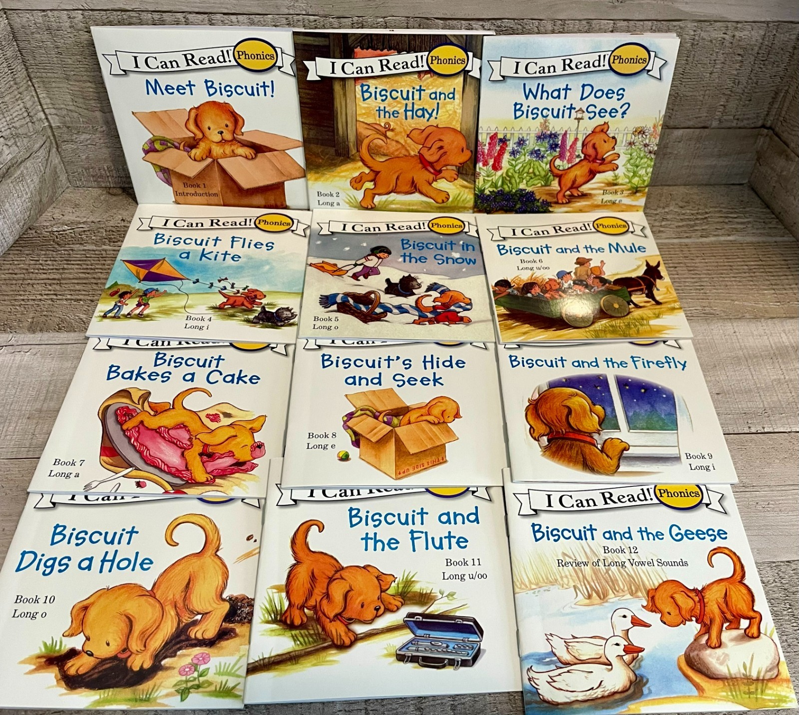 I Can Read Phonics Meet Biscuit 12 Book Set – Travel Size