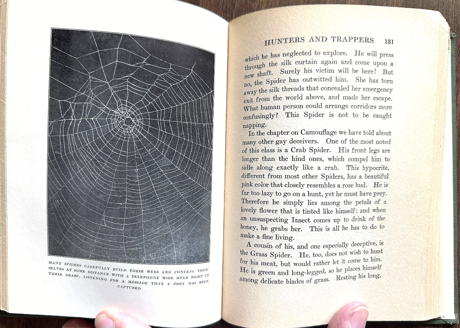 1924 1st Ed PERSONALITY of INSECTS by R. Dixon & B. Eddy HB/247pp/ILLUSTRATED