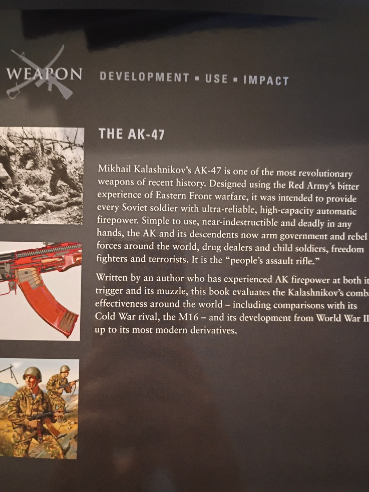 Osprey Weapon 8: The Ak-47-Kalashnikov-Series by Gordon L. Rottman