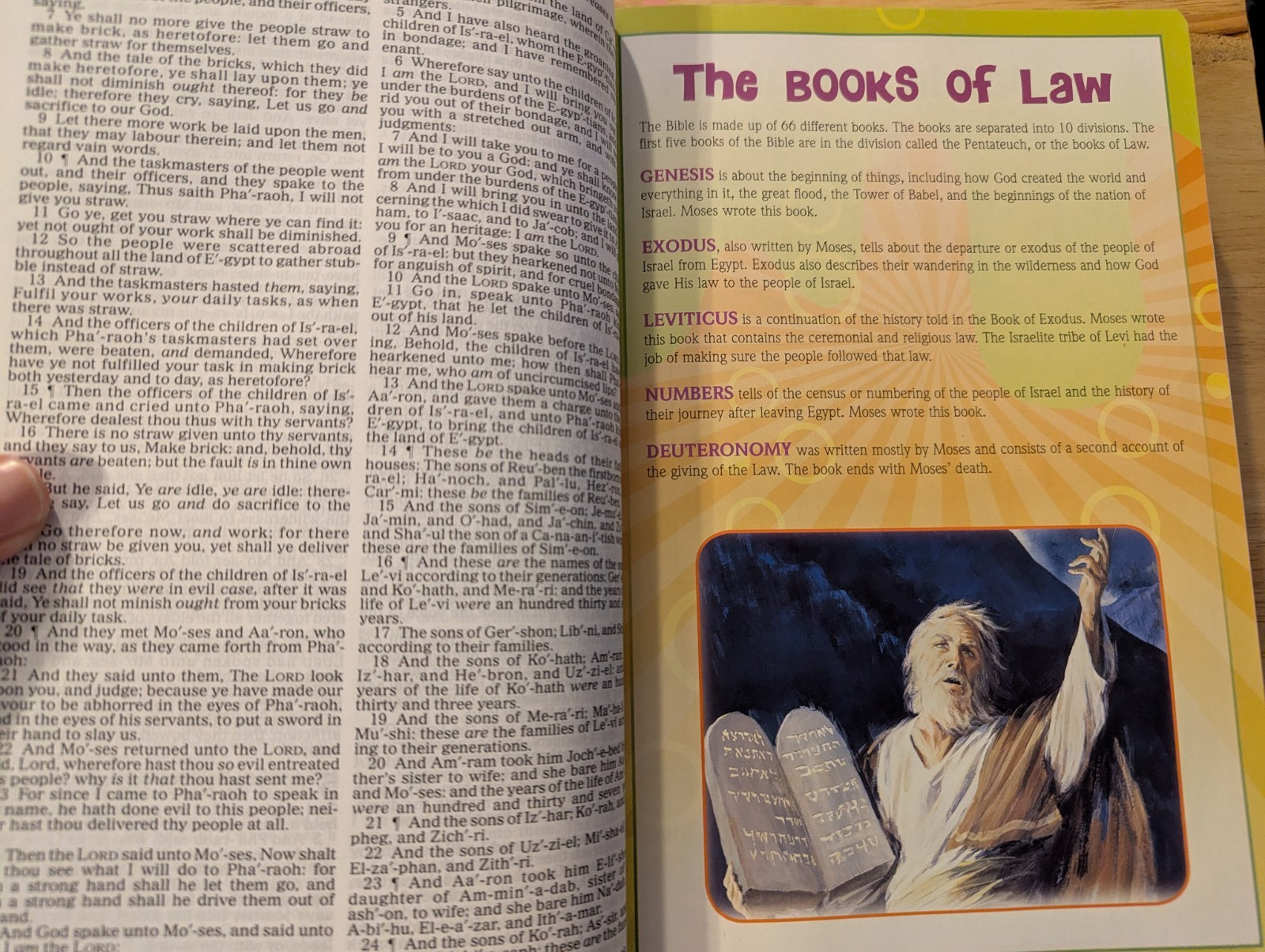 KJV Illustrated Study Bible for Kids/ Pink Simulated Leather